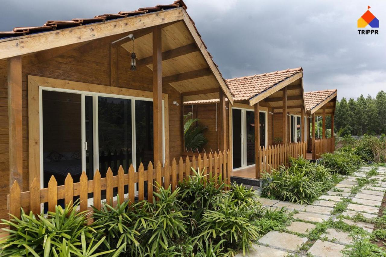 Auberge de jeunesse Trippr Chikkamagaluru à Chikmagalūr Extérieur photo